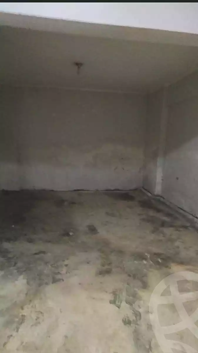 https://aqarmap.com.eg/en/listing/7371116-for-sale-alexandria-el-dekhela