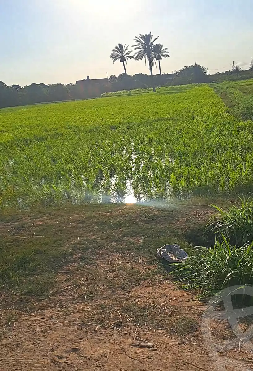 https://aqarmap.com.eg/ar/listing/7374810-for-sale-cairo-al-oubour-el-manateq-el-snaaya-industrial-b-g