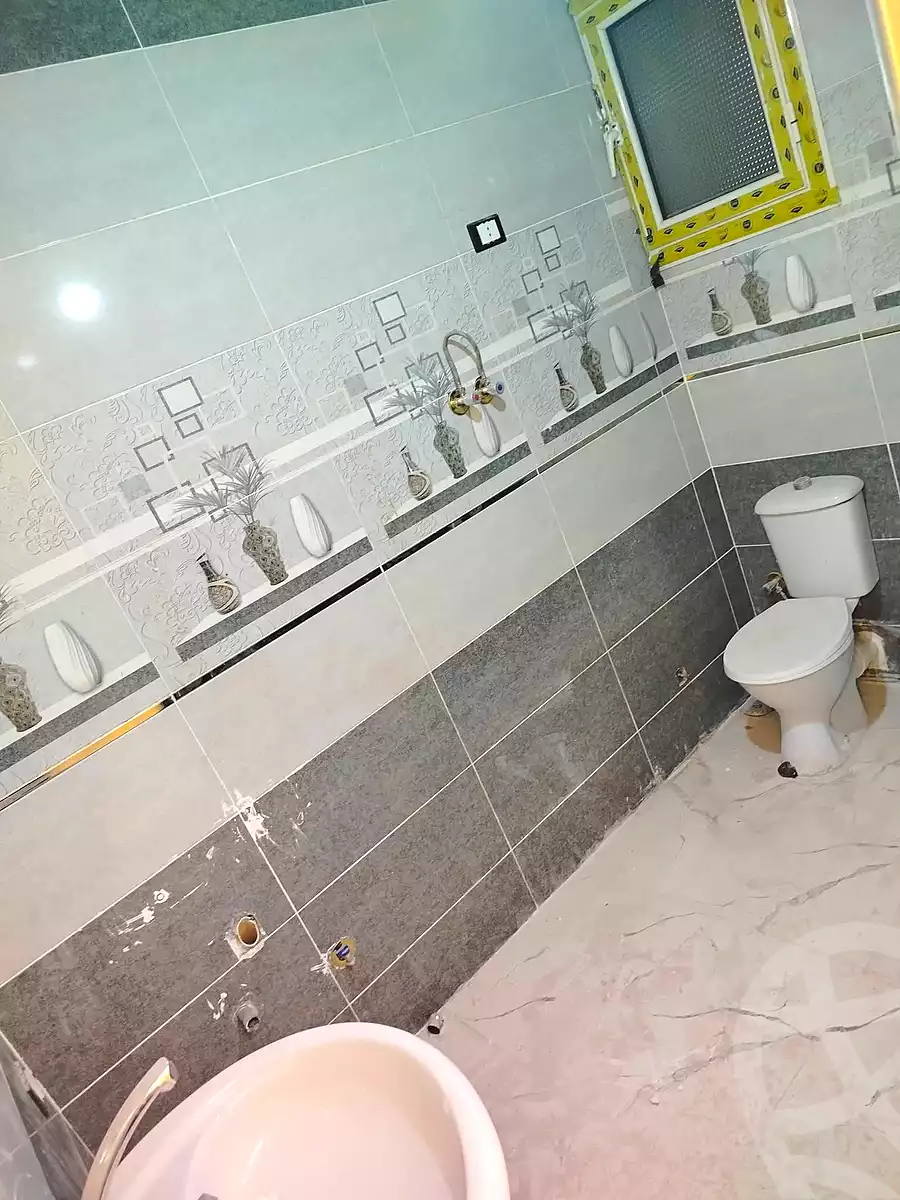 https://aqarmap.com.eg/en/listing/7377273-for-rent-cairo-ain-shams-mnshy-lthryr