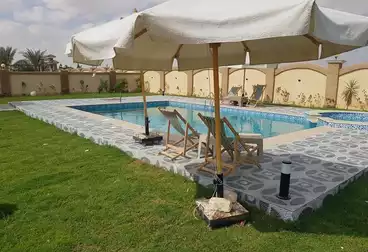 شاليهات للإيجار - 2 غرف - بالدور 1