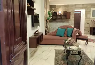 Furnished Apartment For rent in Yehia El Mashad St.