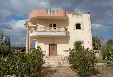 Separate Villa For sale in El Reef El Aorobee