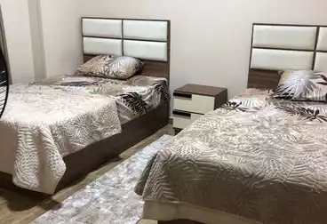 Furnished Apartment For rent in El Mostashareen Compound