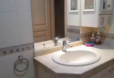 Apartment for rent in Zamalek