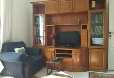 Furnished Apartment For rent in Malls and Markets