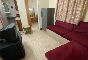 Furnished Apartment For rent in Hassanein Desoky St.