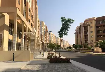 Apartments For sale in  AlMaqsad Park - AlMaqsad Residence