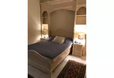 https://aqarmap.com.eg/ar/listing/4898174-for-rent-cairo-al-zamalek-kwrnysh-lnyl-lzmlk