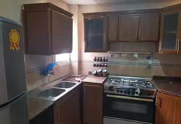 Furnished Apartment For rent in 13th St.