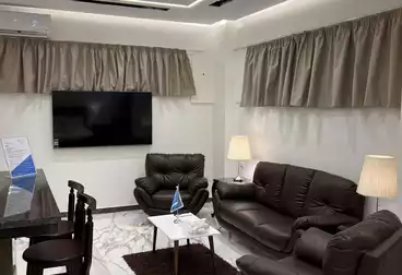 Studio For rent in Suleiman al-Halabi St. الايجار اليومى 2800 ج