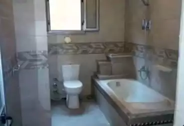 https://aqarmap.com.eg/en/listing/4940777-for-rent-cairo-faisal