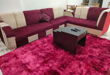 Furnished Apartment For rent in Malak Hefni St. 700