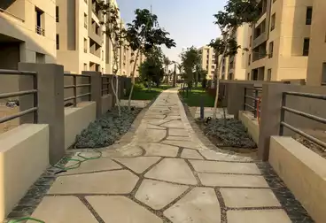 apartments for sale in new cairo