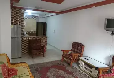 Apartments For rent in Octuber Al Nakhel Stللايجار اليومي 300ج