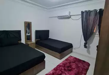 Furnished Apartment For rent in El-Gaish Rd St. 2500