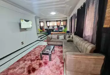 Furnished Apartment For rent in El-Gaish Rd St. 2500