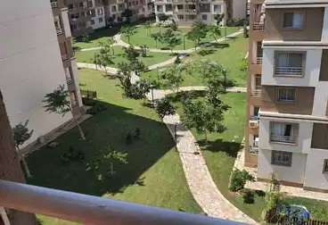 Apartment for rent in madinty b10