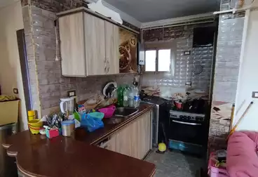 https://aqarmap.com.eg/ar/listing/5055279-for-sale-alexandria-l-jmy-shataa-el-nakheel-el-shamy-st