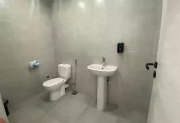 https://aqarmap.com.eg/ar/listing/5056677-for-rent-cairo-6th-of-october-compounds-the-lane-palm-hills