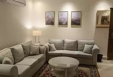 Furnished Apartment For rent in Adn St