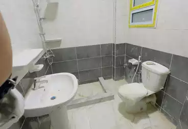 https://aqarmap.com.eg/ar/listing/5076049-for-rent-cairo-new-cairo-jml-bd-lnsr