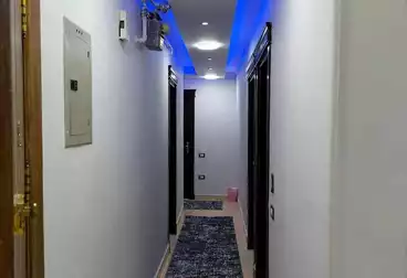 Furnished Apartment For rent in Abbas El Akkad St. 2000