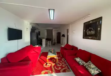 https://aqarmap.com.eg/ar/listing/5094618-for-rent-cairo-new-cairo-el-choueifat-al-shouyfat-st