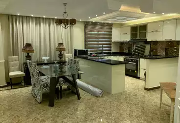 Furnished ground floor apartment with garden for rent in Taj Sultan Compound