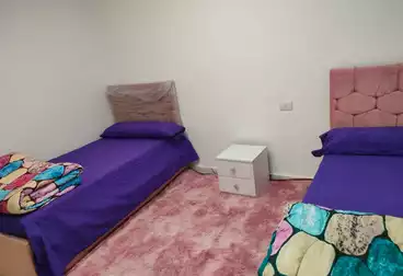 Furnished Apartment For rent in Malak Hefni St. 600