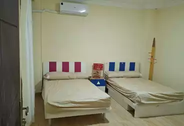 Furnished Apartment For rent in N C - Dream Land Compound