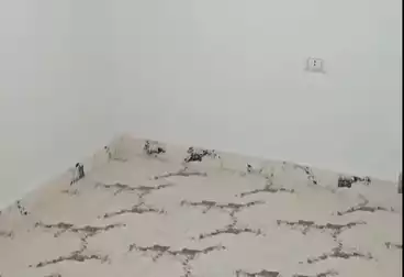 undefined undefined - 2 rooms - floor 1