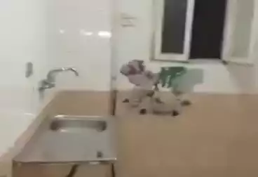 Properties For rent - 3 rooms - floor 1