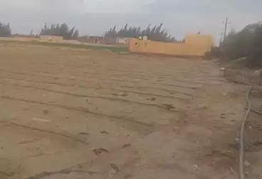 Farm For sale