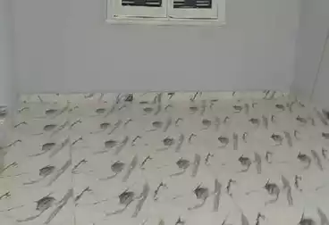 Apartments For rent - 2 rooms - floor 5