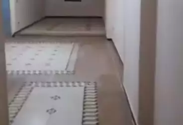 Properties For rent - 3 rooms - floor 1