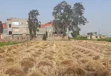 أرض زراعية للبيع