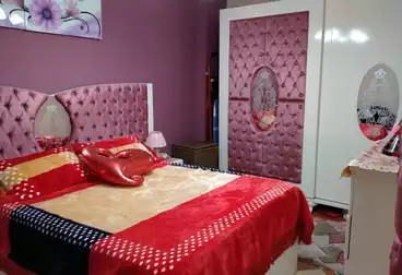 شقق للإيجار - 3 غرف - بالدور 1