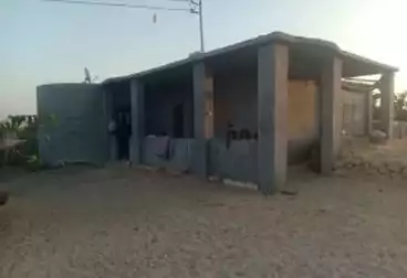 Farm For sale