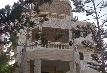 فلل للبيع - 9 غرف