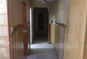 Apartments For rent - 3 rooms - floor 1