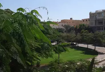 Apartments For rent - 3 rooms - floor 2