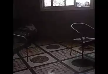 undefined undefined - 2 rooms - floor 14