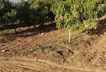 Farm For sale