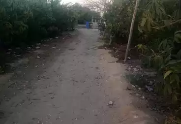 أرض زراعية للبيع