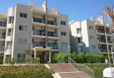 Apartments For rent - 3 rooms - floor 3