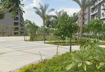 شقق للبيع - 3 غرف - بالدور 2