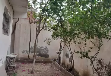 Garden Villa For sale - 3 rooms