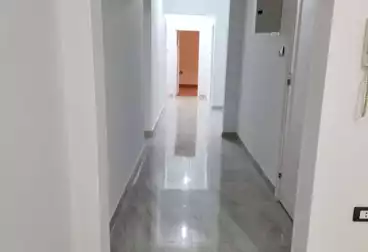 Apartments For rent - 3 rooms - floor 3
