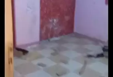 Apartments For rent - 2 rooms - floor 2