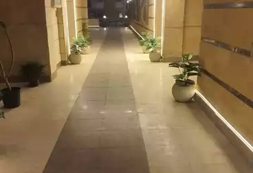 Apartments For rent - 3 rooms - floor 5